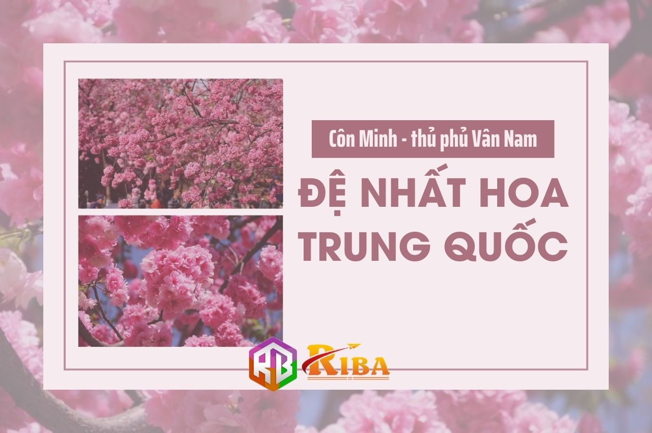Côn Minh – thủ phủ Vân Nam – đệ nhất hoa Trung Quốc