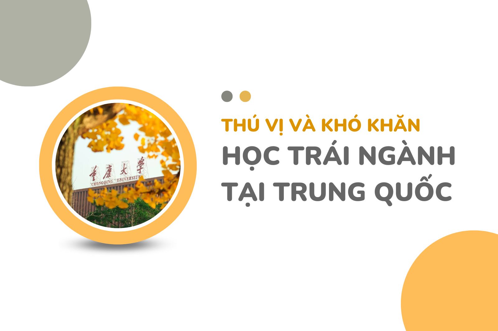 HỌC TRÁI NGÀNH TẠI TRUNG QUỐC CÓ NHỮNG ĐIỂM THÚ VỊ VÀ KHÓ KHĂN GÌ